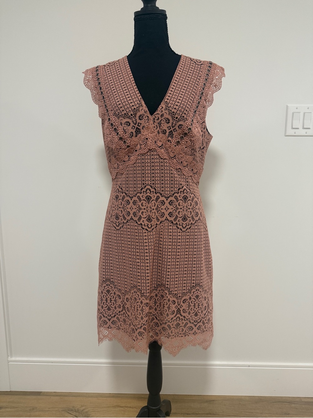 Pinko Fall 2019Collection Lace Mini Dress Dusty Blush Pink Mauve Medium Designer - Picture 2 of 8
